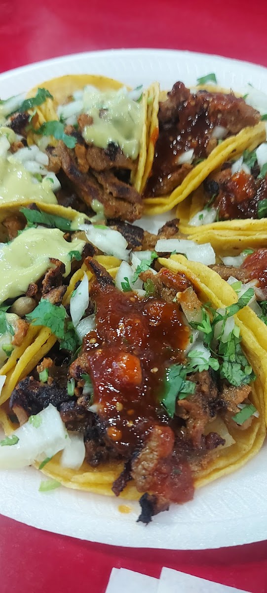 Mr. Avocado's Mexican Asada Grill - Photo 3