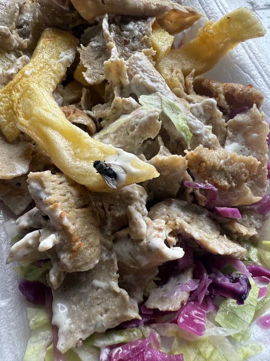 Jolly Fish Bar - Photo 4