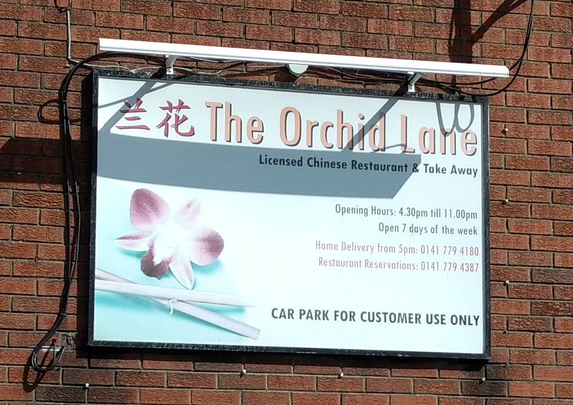 Orchid Lane - Photo 4