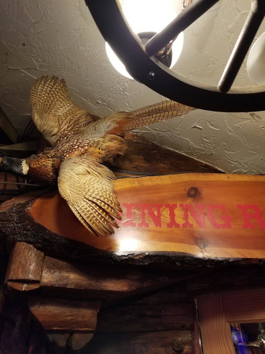 Willikers Tex-Mex & BBQ - Photo 7