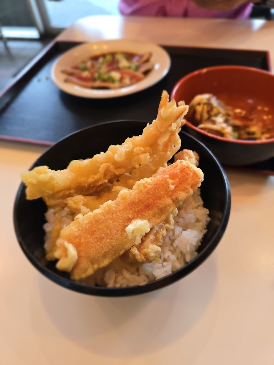 Sushiology I-Drive Universal - Photo 3