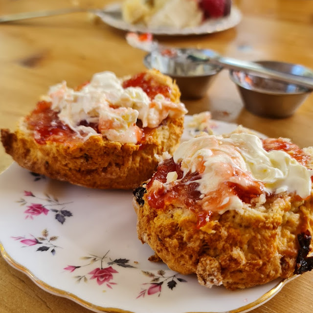 Cream Tea Scones