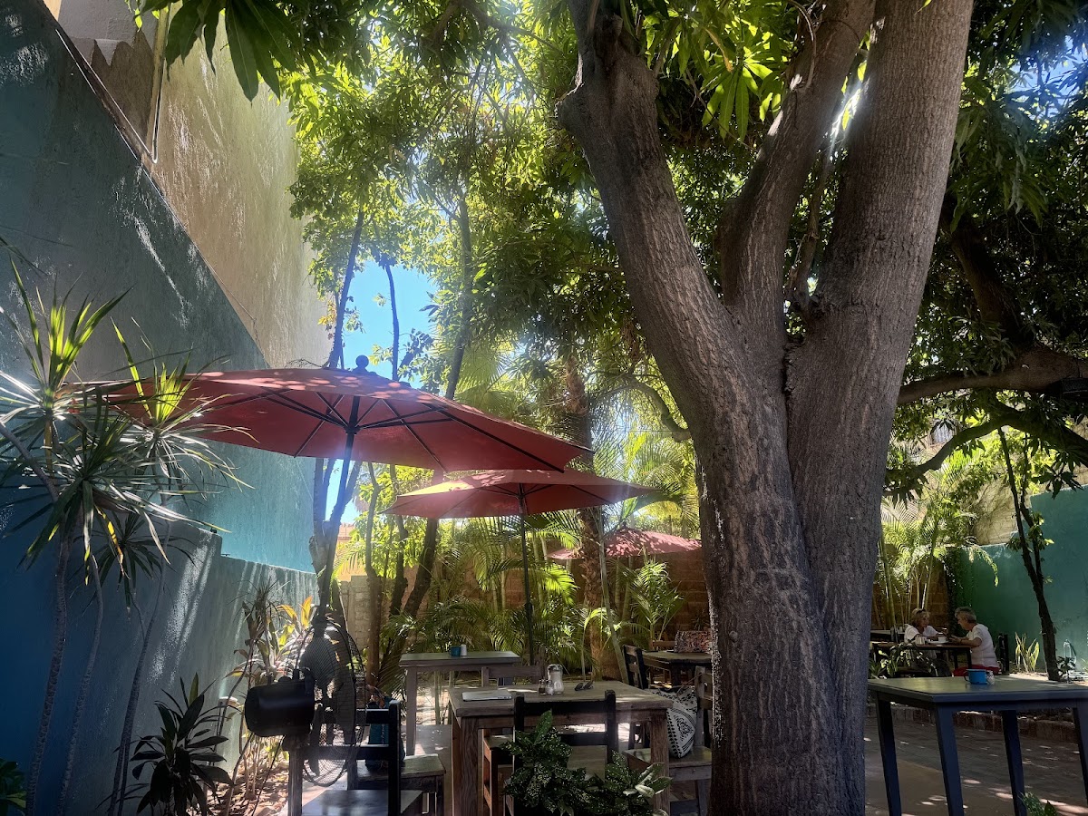 Cafe de Lolita - Photo 1