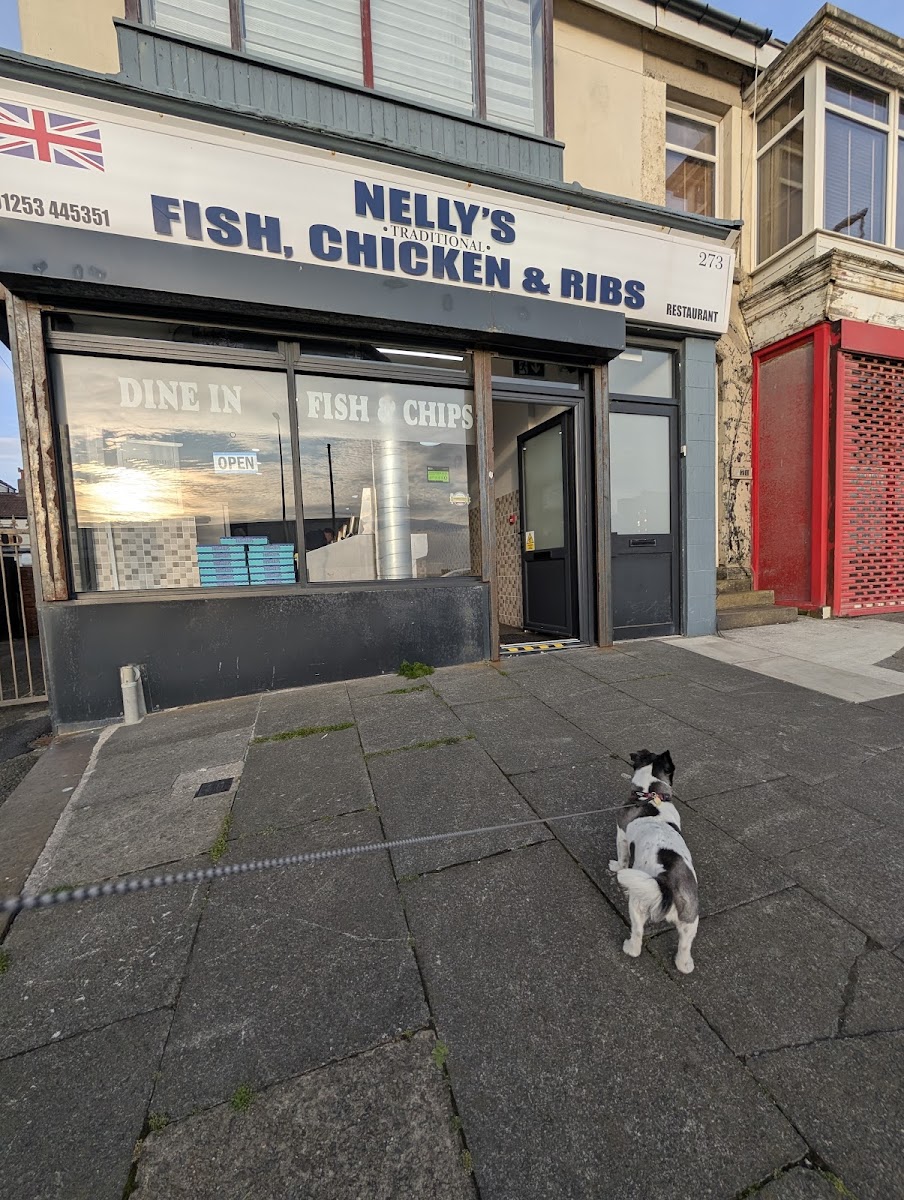 Nelly's Fish Chicken & Ribs - Photo 2