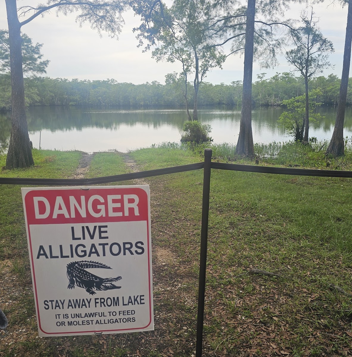 Gator's Seafood Restaurant - Photo 2
