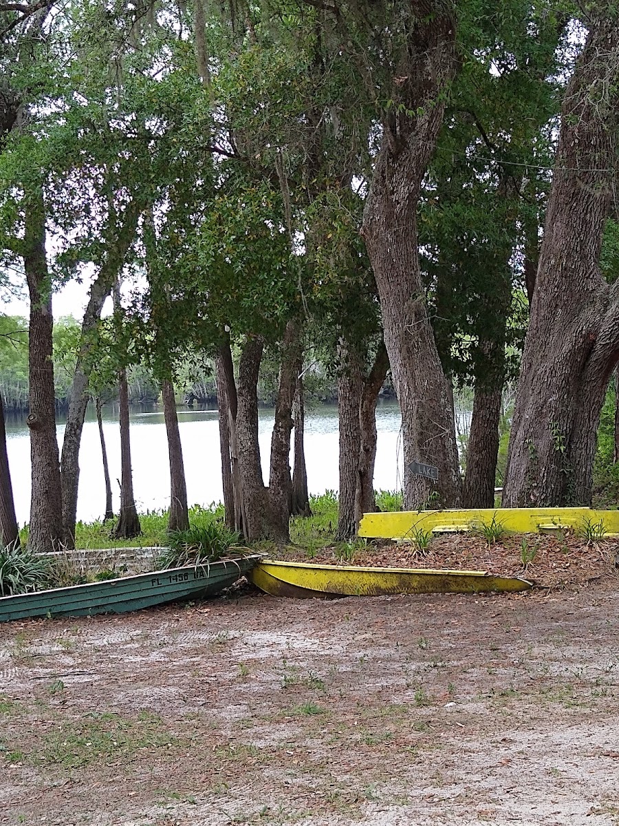 Gator's Seafood Restaurant - Photo 7