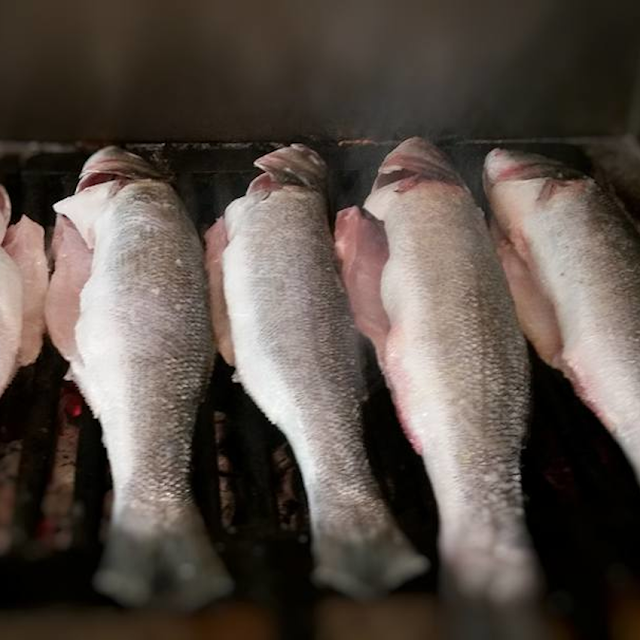 Sea Bass