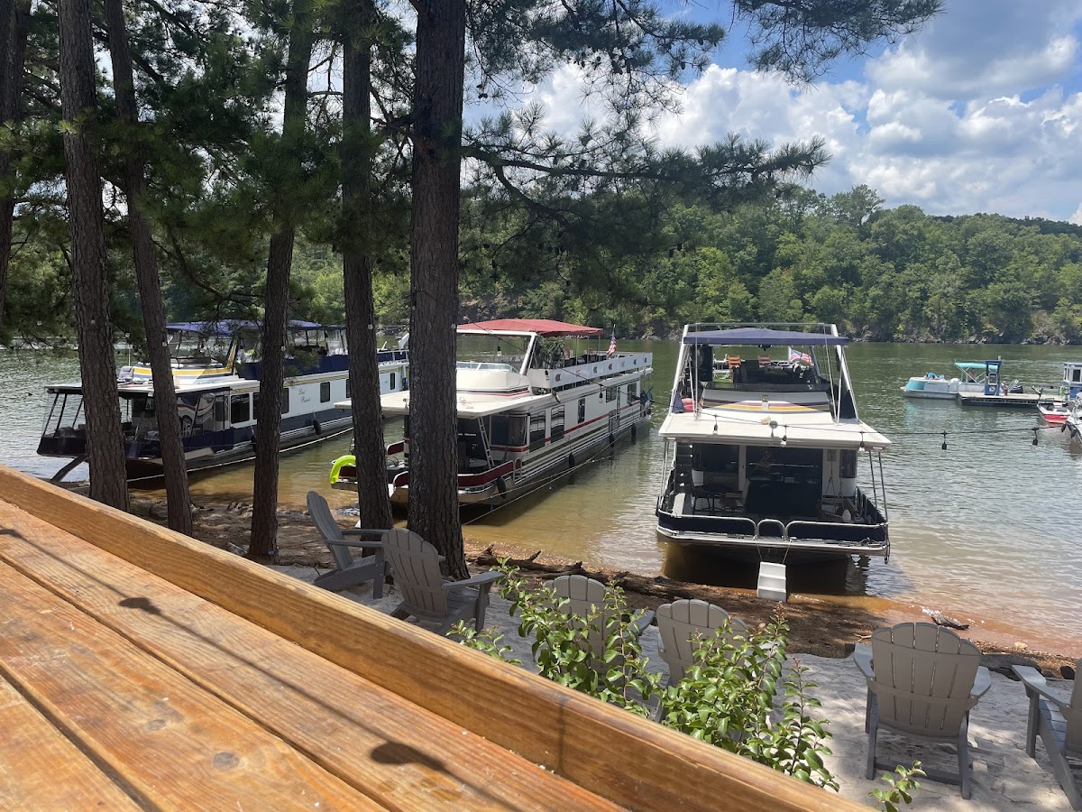 JD's on the Lake - Photo 2