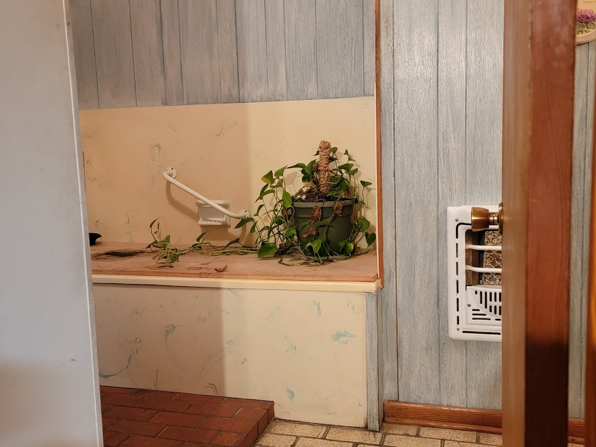 Larry's Fish House - Photo 8