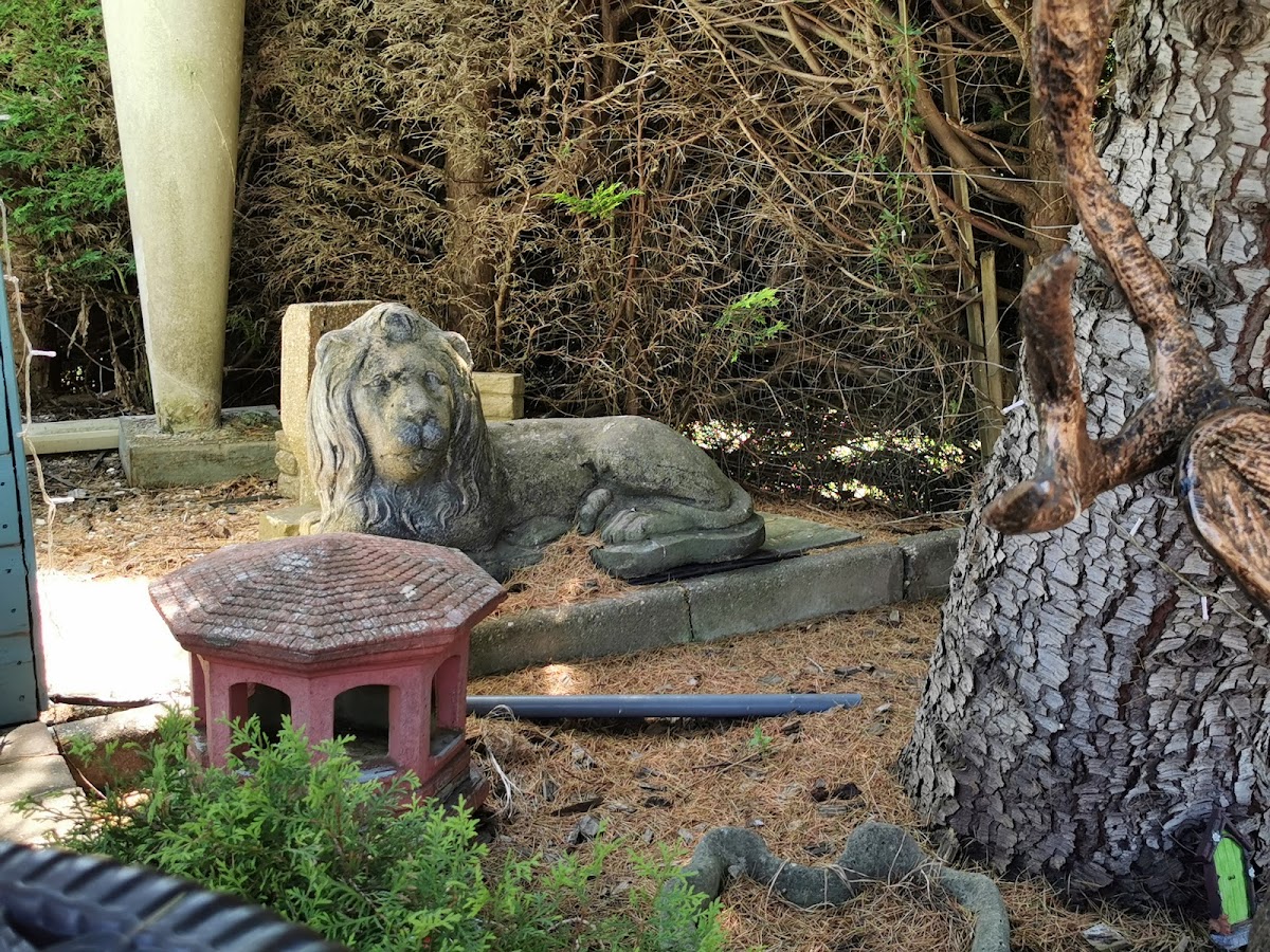 The Viking Way Garden Café & Gift Shop - Photo 3