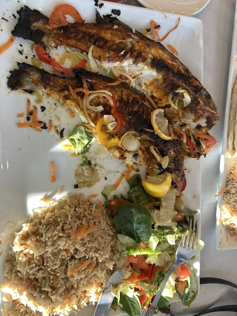 Elhoot Restaurant - Photo 6
