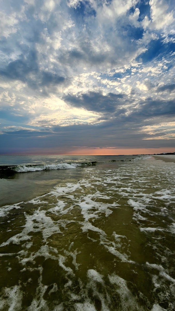 Local Beach Pizza, LLC - Photo 5