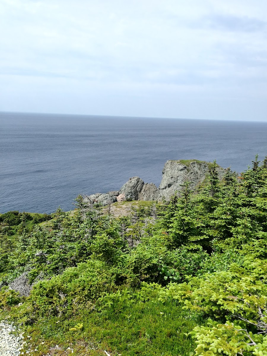 Crow's Nest Café - Photo 3