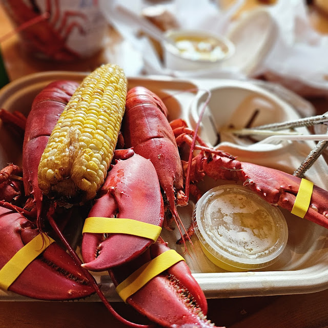 Single Lobster Dinner and 2 lbs of Steamed Clams
