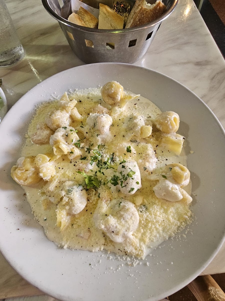 Soya e Pomodoro - Photo 1