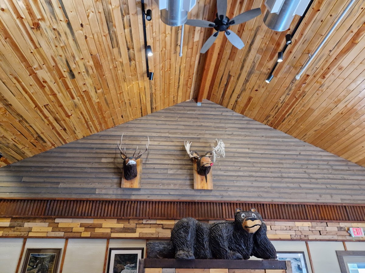 Kodiak Jax - Photo 1