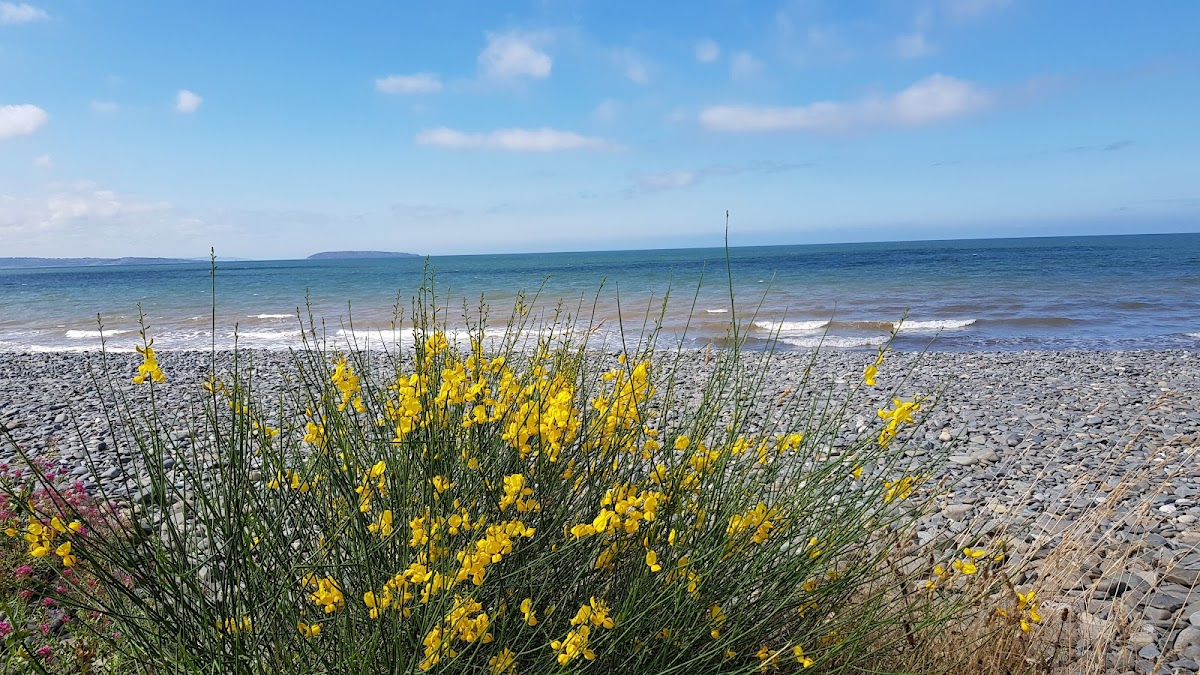 The Beach Cafe Penmaenmawr - Photo 4