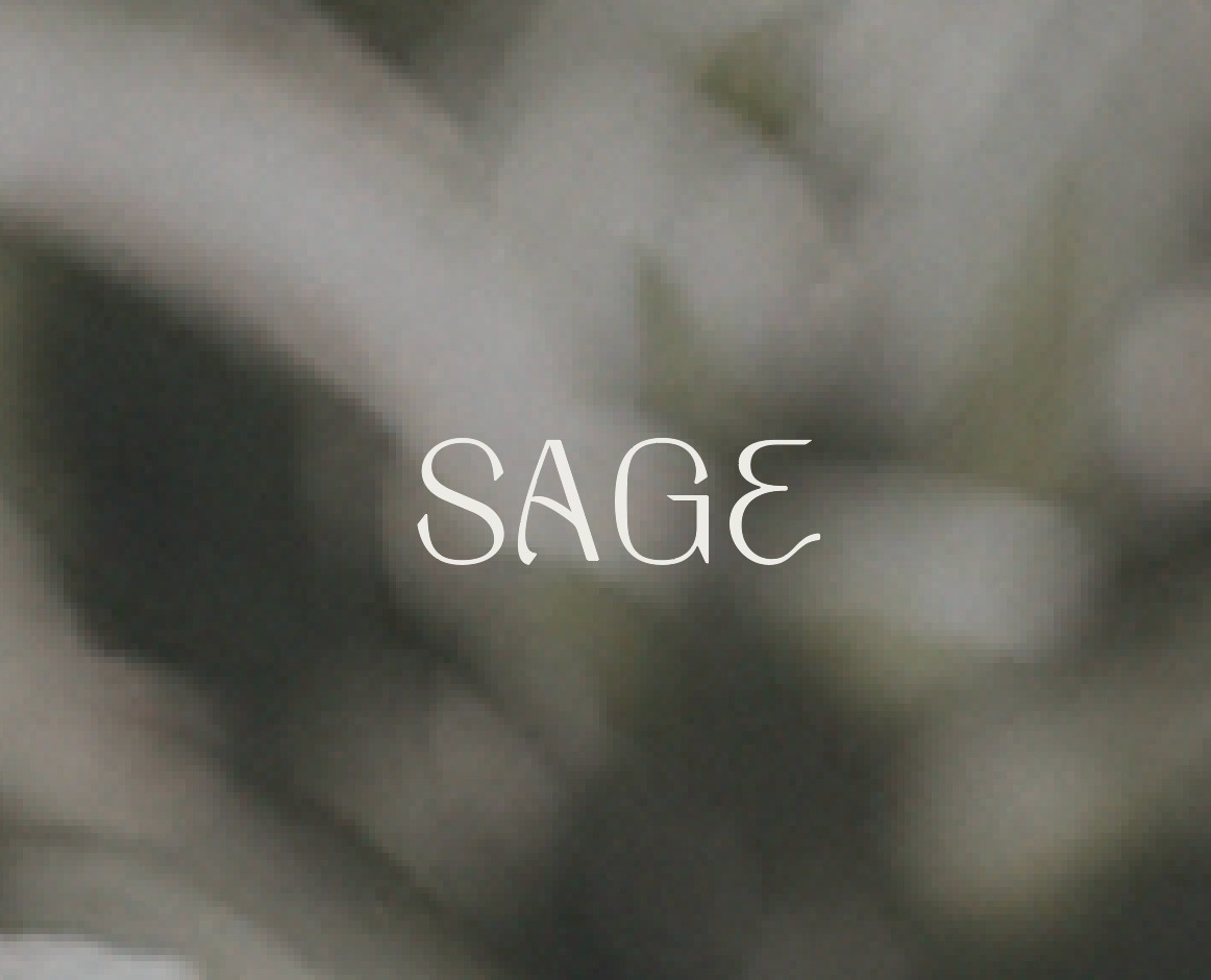 Sage - Columbia, MO - Photo 2