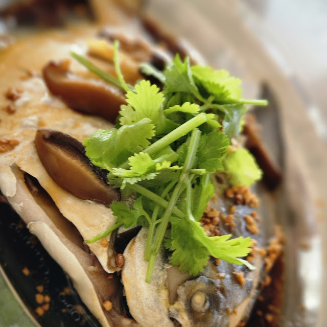 Steam Fish