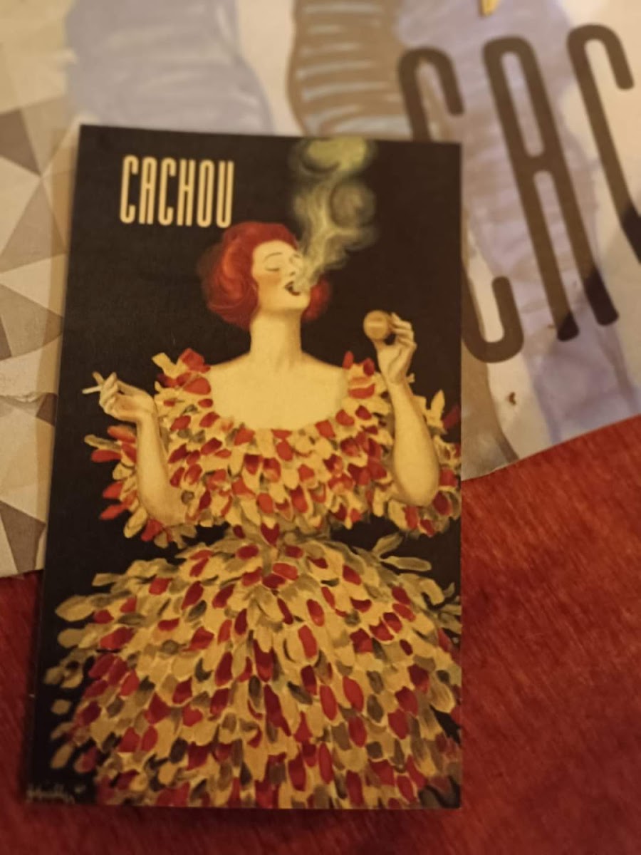 CACHOU - Photo 7