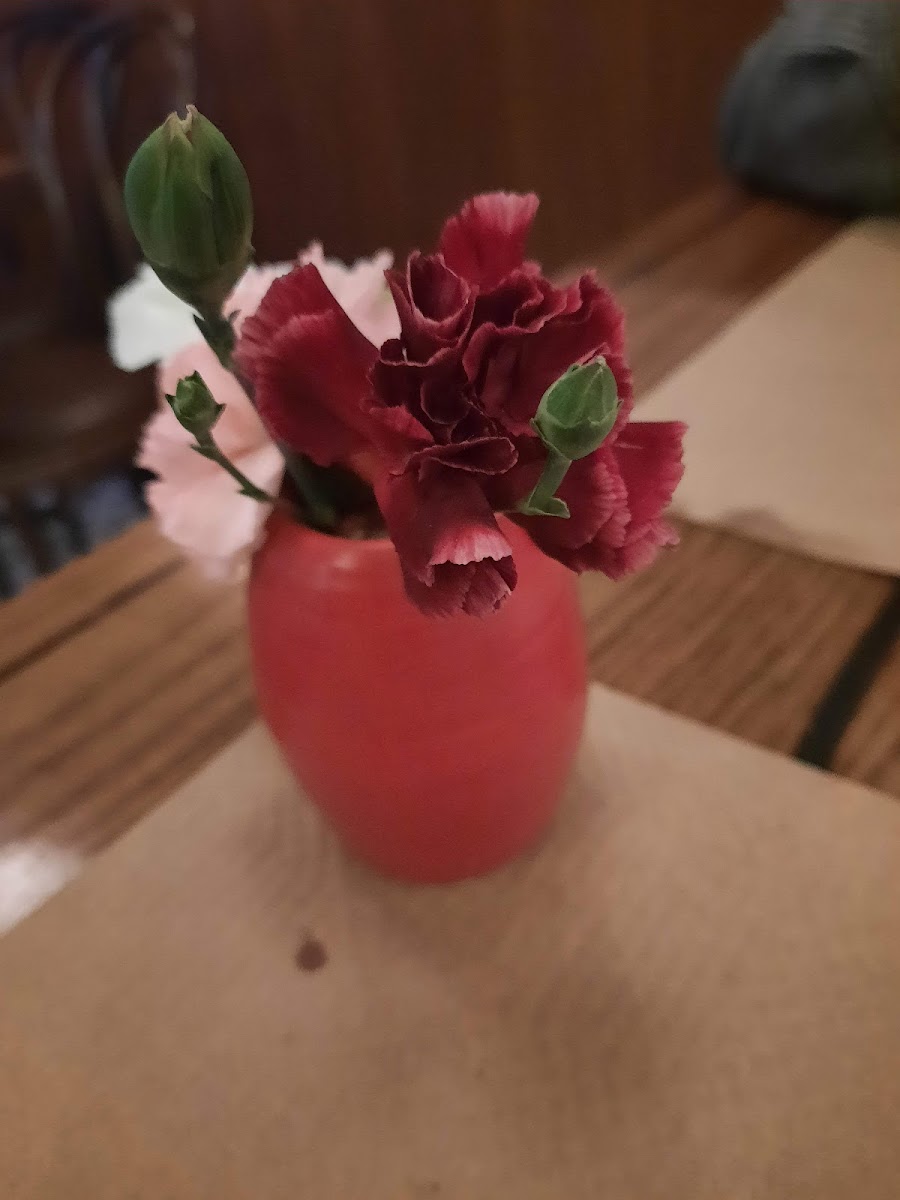 Paola's Osteria - Photo 5