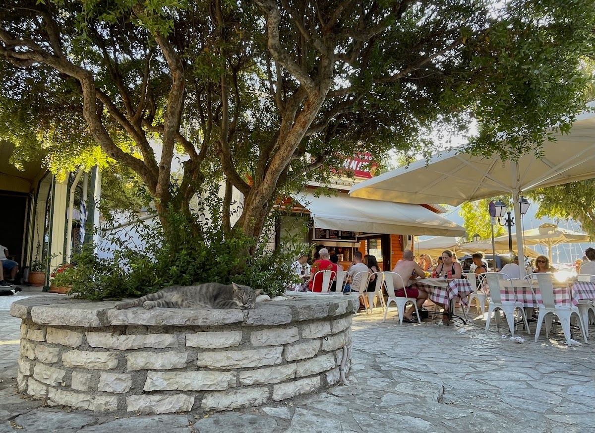 Giannis Grill House - Photo 4