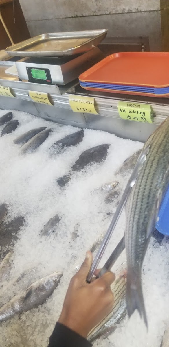 Island Seafood Inc - Photo 3