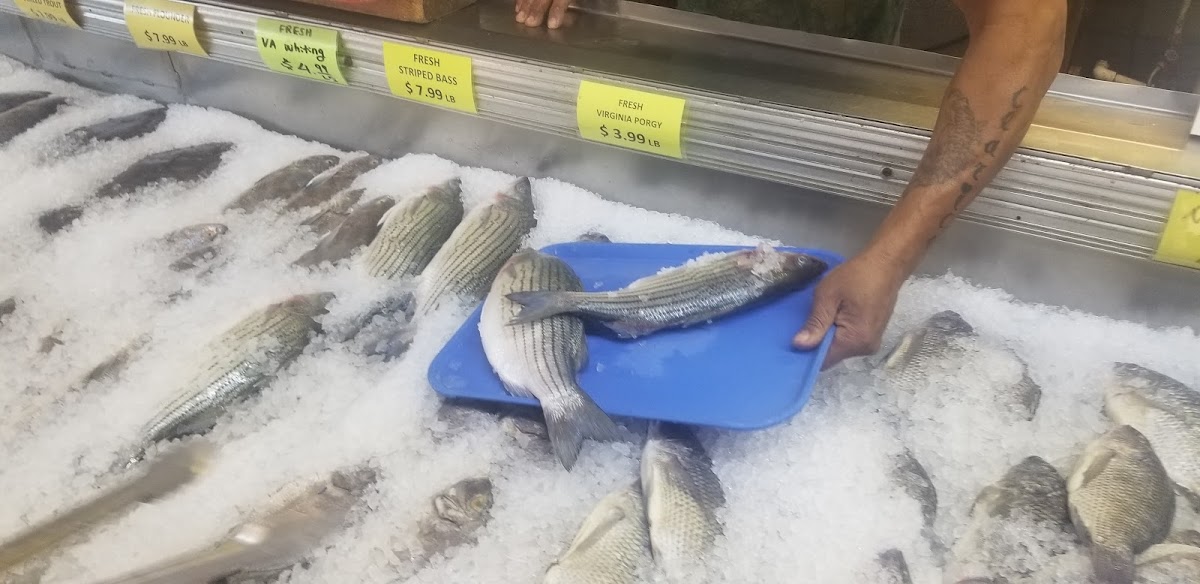 Island Seafood Inc - Photo 7