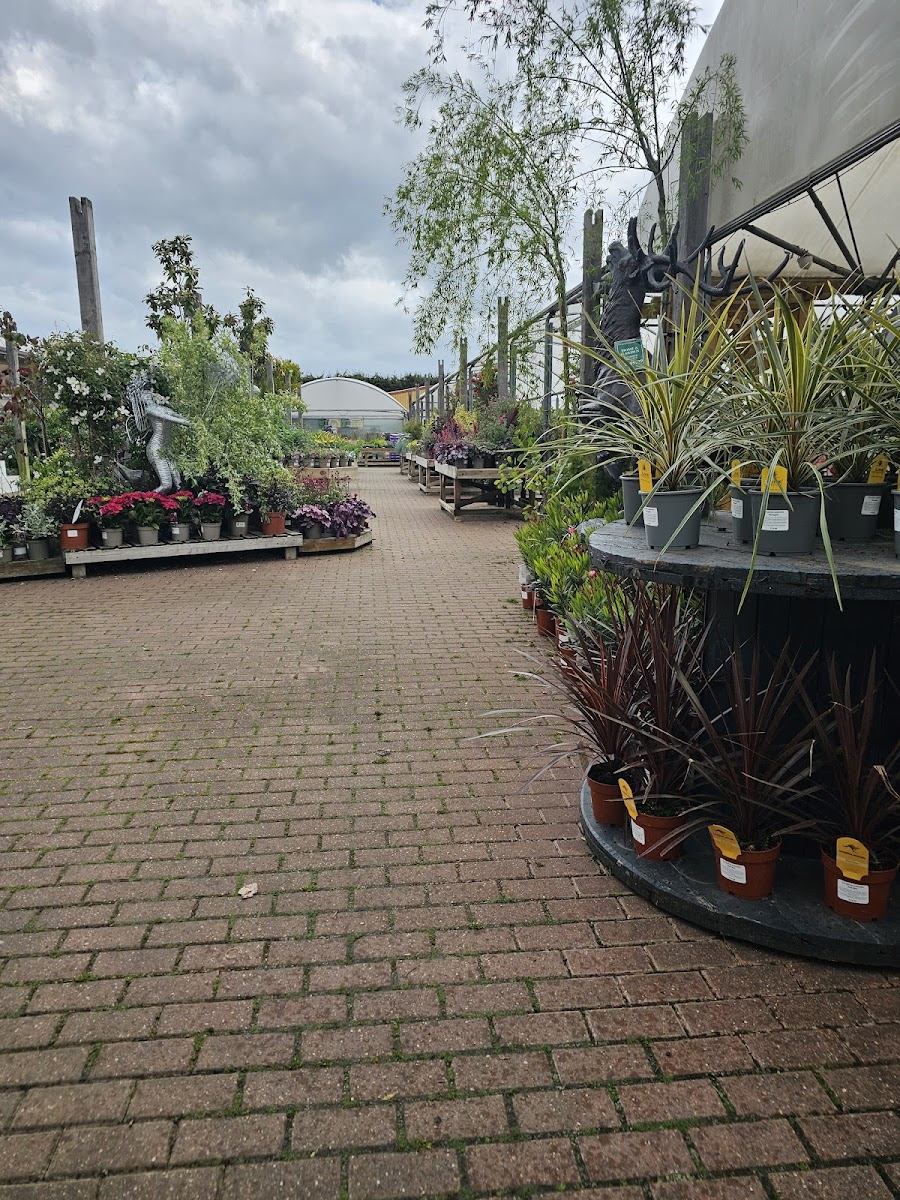 Poplar Nurseries Restaurant - Photo 2