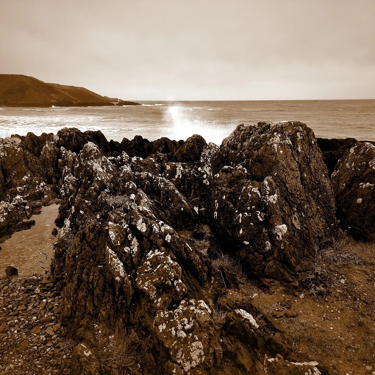 Caffi Porthor - Photo 5