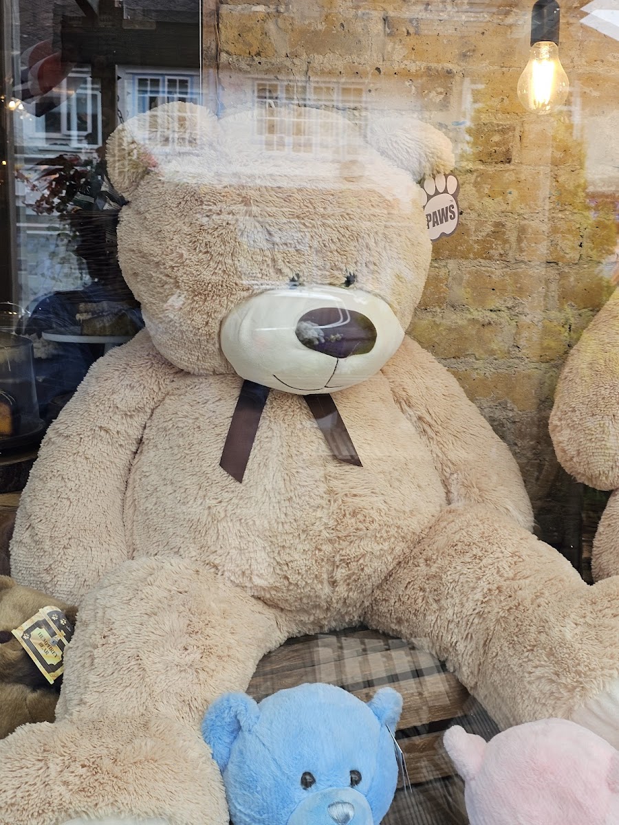 The Bears Trading Company - Photo 3