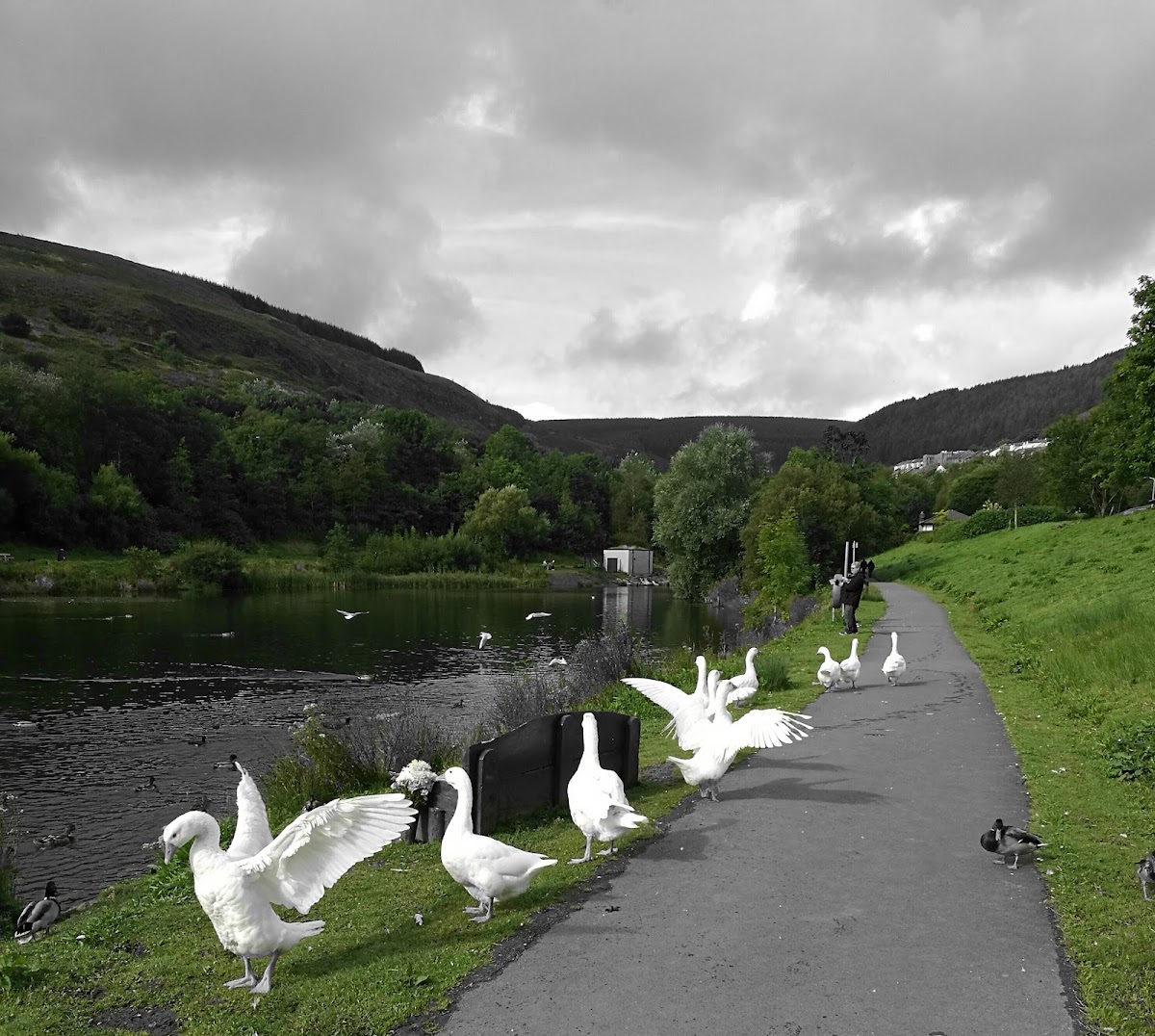 Cambrian Lakeside Cafe Bar - Photo 5