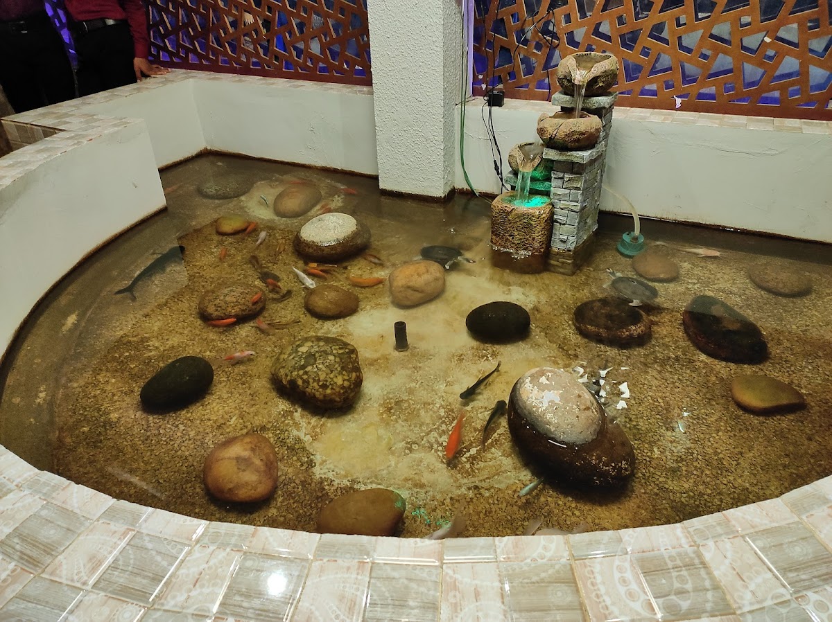Rainbow Chinese Restaurant - Photo 7