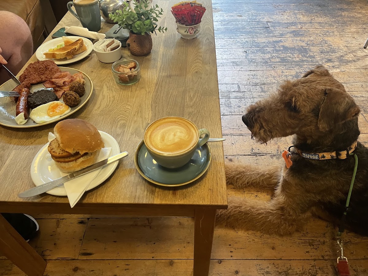 The Hub Cafe - Photo 4