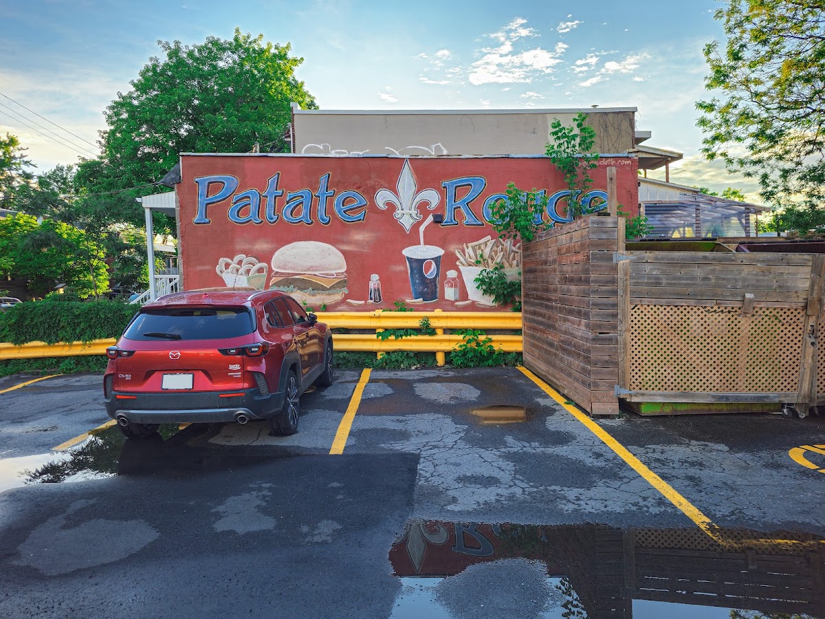 Patate Rouge - Photo 4