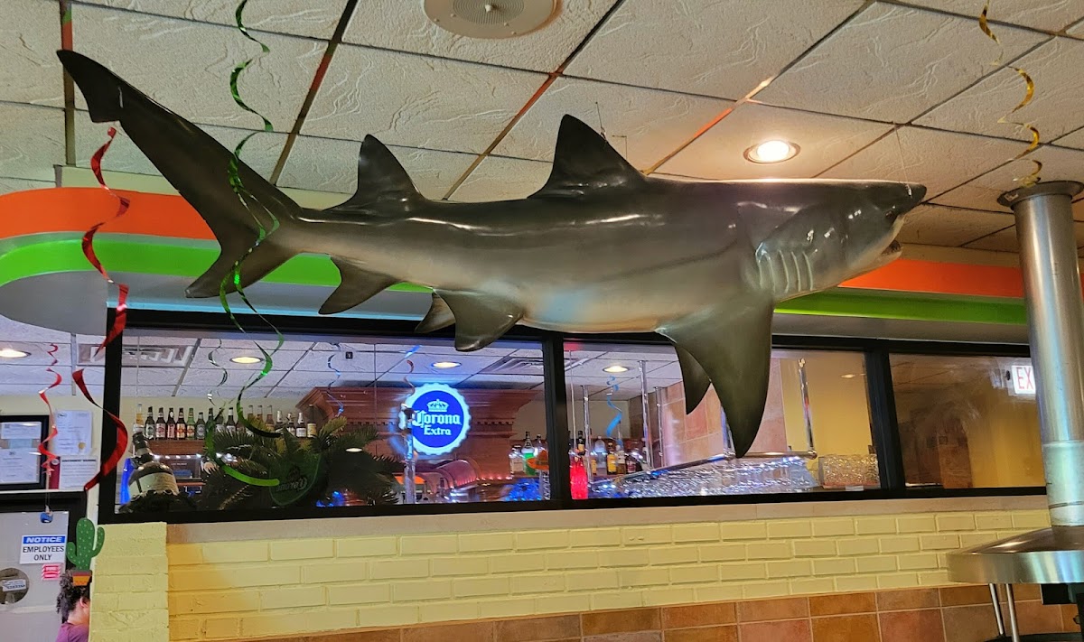 Las Palmas Mexican Restaurant and Bar - Photo 4