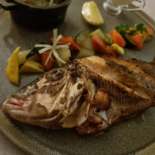 Fish of the Day