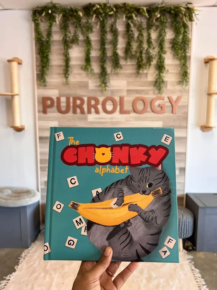 Purrology Cat Cafe - Photo 4