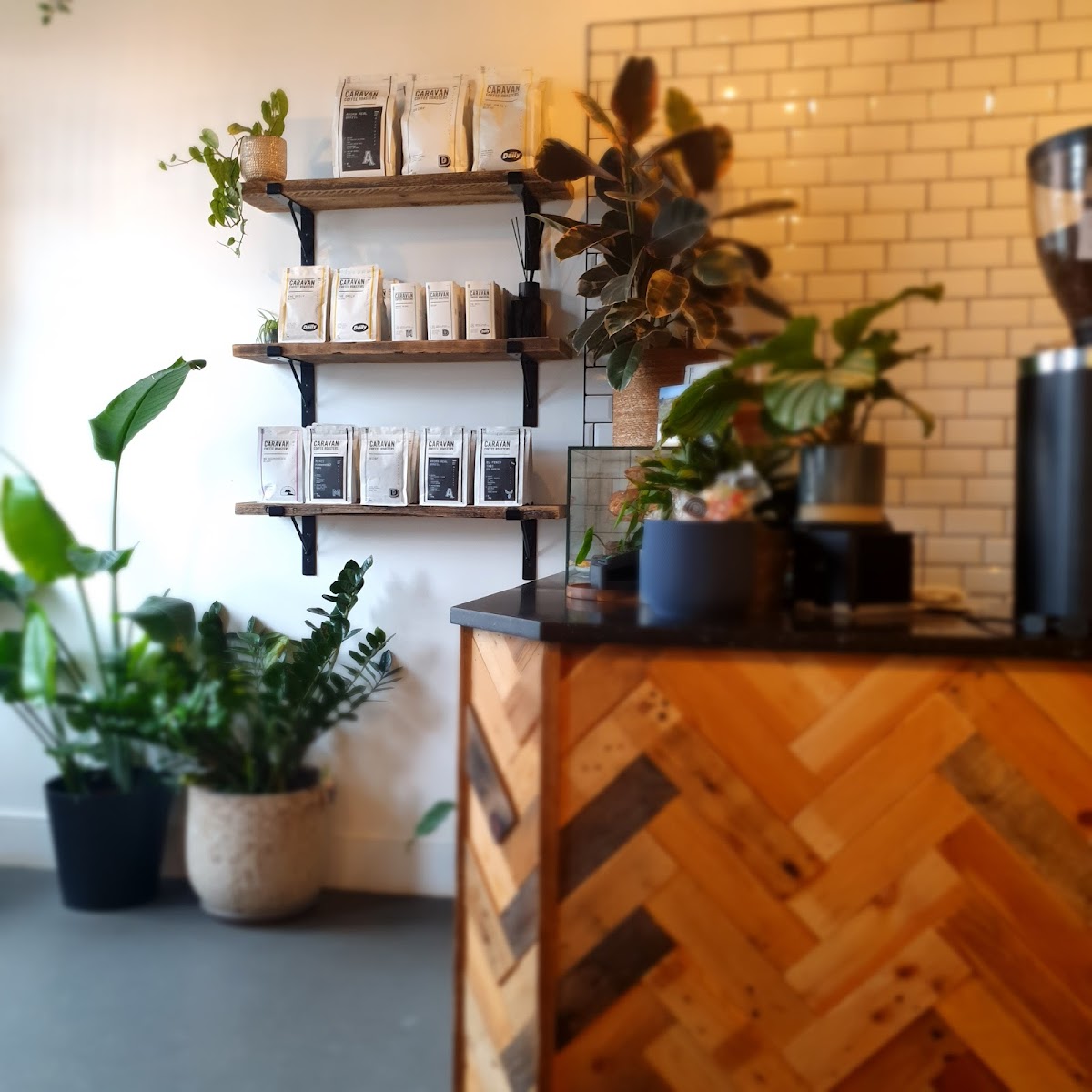 Sanchini’s Coffee Bar - Photo 2