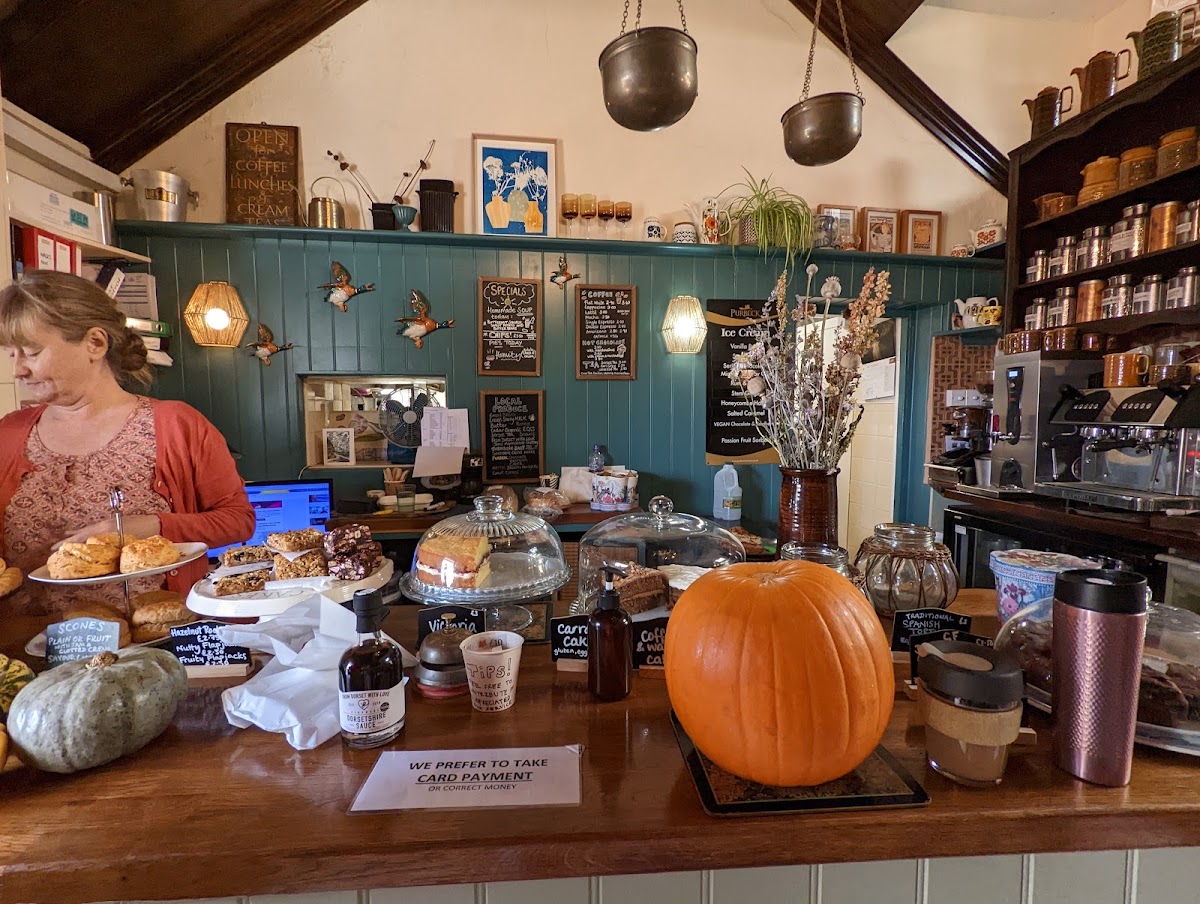 Worth Matravers Tea & Coffee Shop
