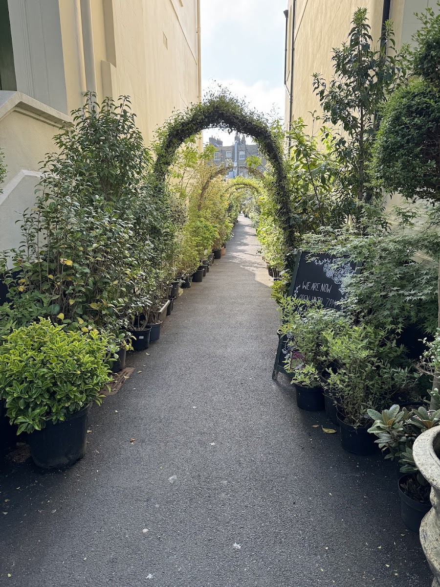Clifton Nurseries Cafe - Photo 1