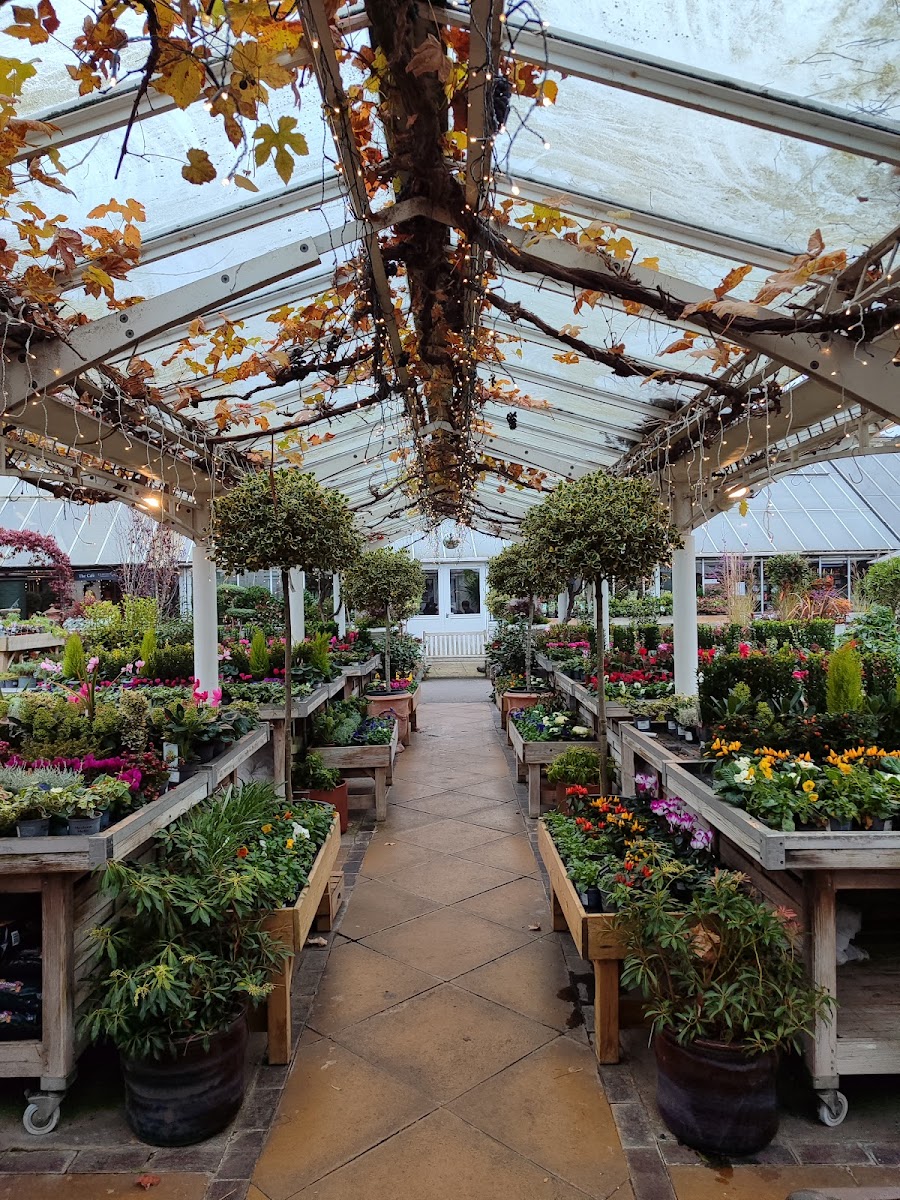 Clifton Nurseries Cafe - Photo 2