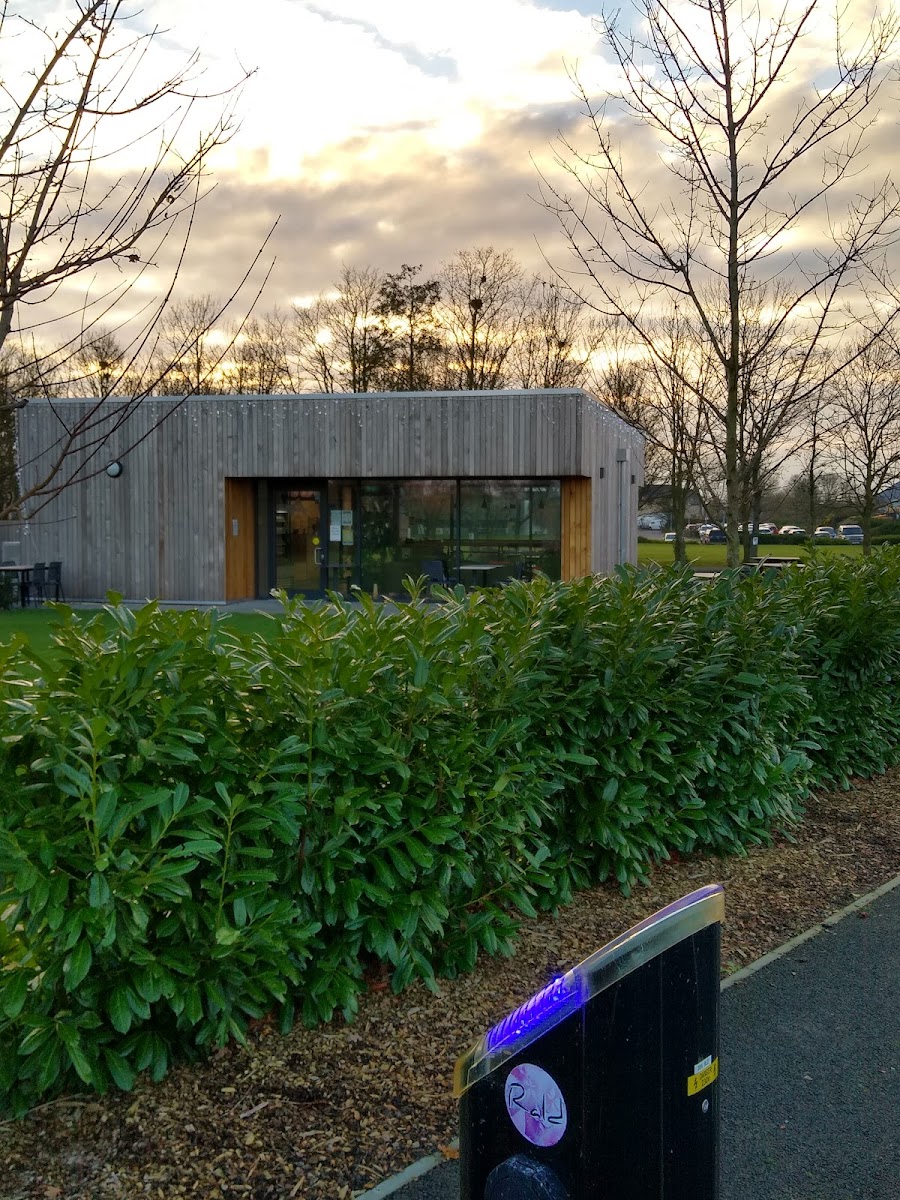 Apex Coffee House - Photo 3