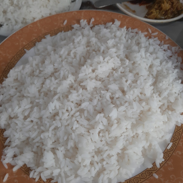 Plain Rice