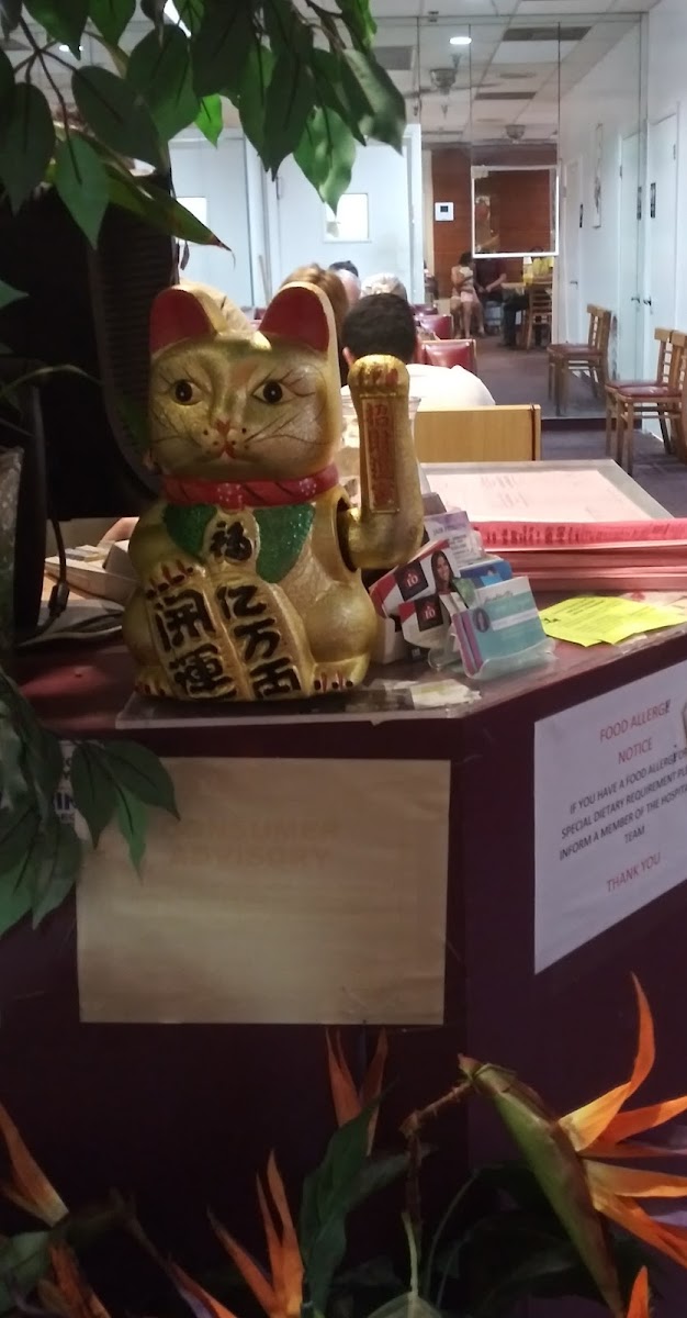 Wing's Chinese Restaurant - Photo 2