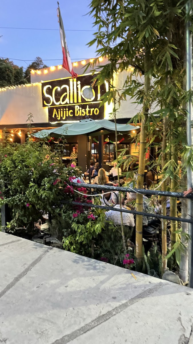 Scallion Ajijic Bistro - Photo 6