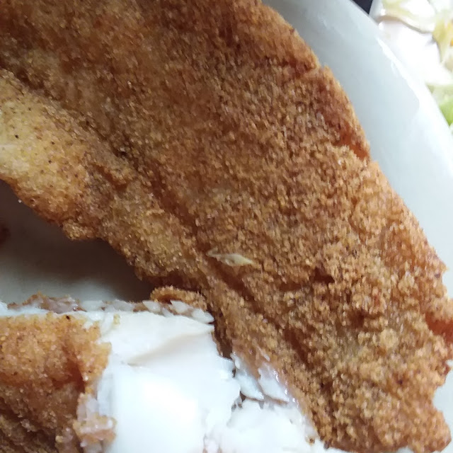 Catfish