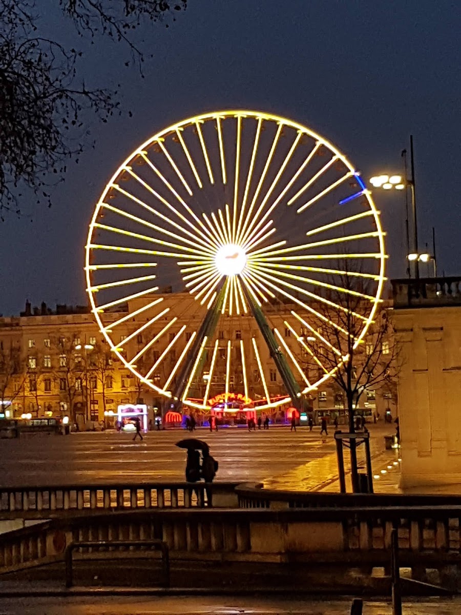 Café Bellecour - Photo 6
