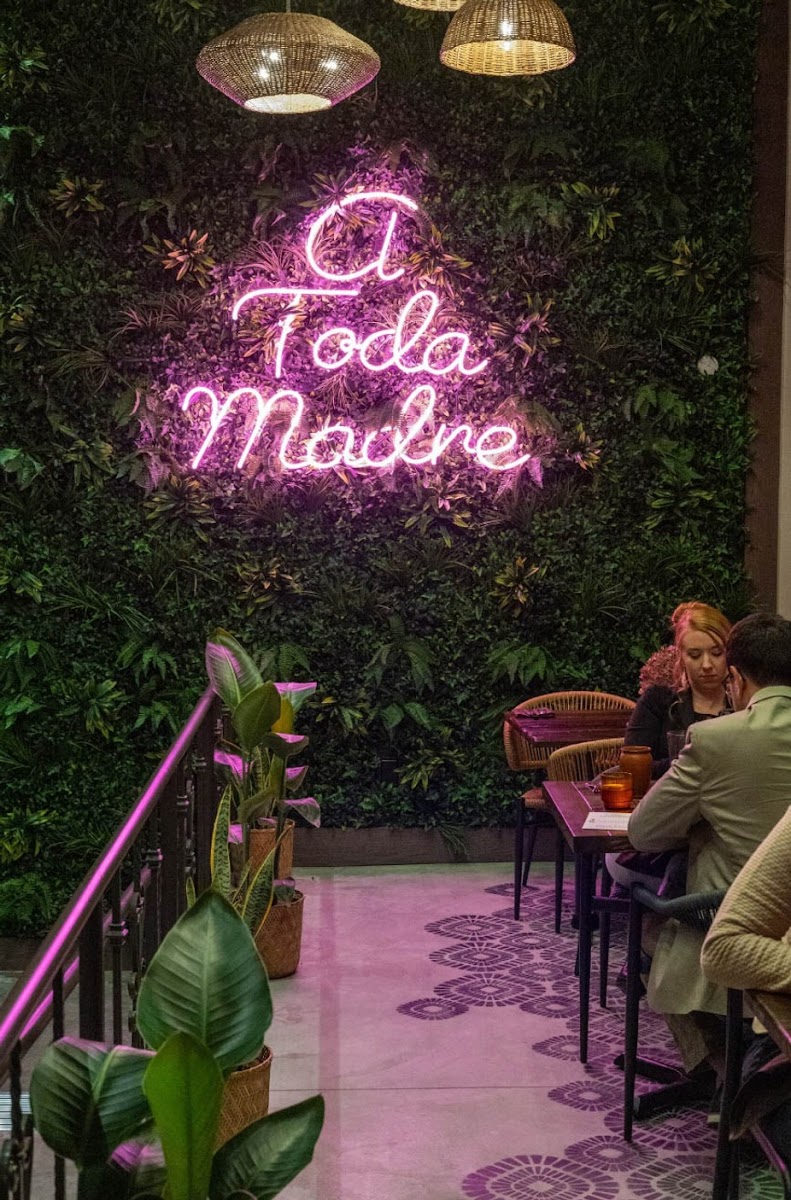 La Madre - Photo 8