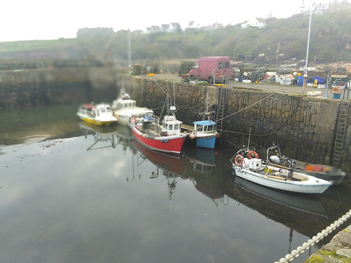 Crail Fish Bar & Cafe - Photo 5